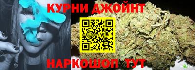 гидра Будённовск