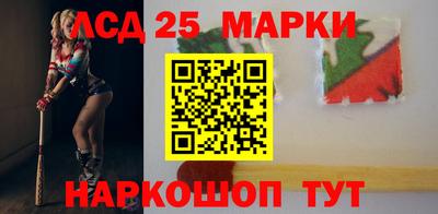 гидра Будённовск