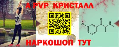 гидра Будённовск