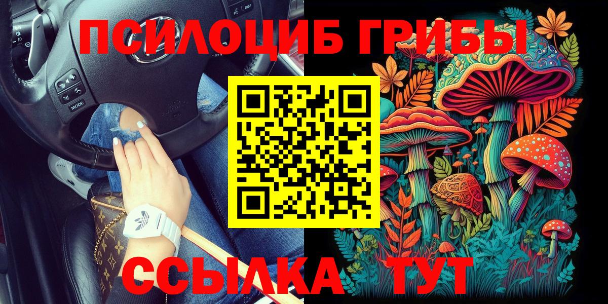 Галлюциногенные грибы Psilocybe  где купить   Котовск  Псилоцибиновые грибы GOLDEN TEACHER  Вход с VPN 